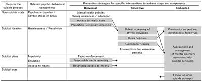 Developing a Hypothetical Model for Suicide Progression in Older Adults With Universal, Selective, and Indicated Prevention Strategies